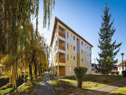 Bloc ANL, Covasna